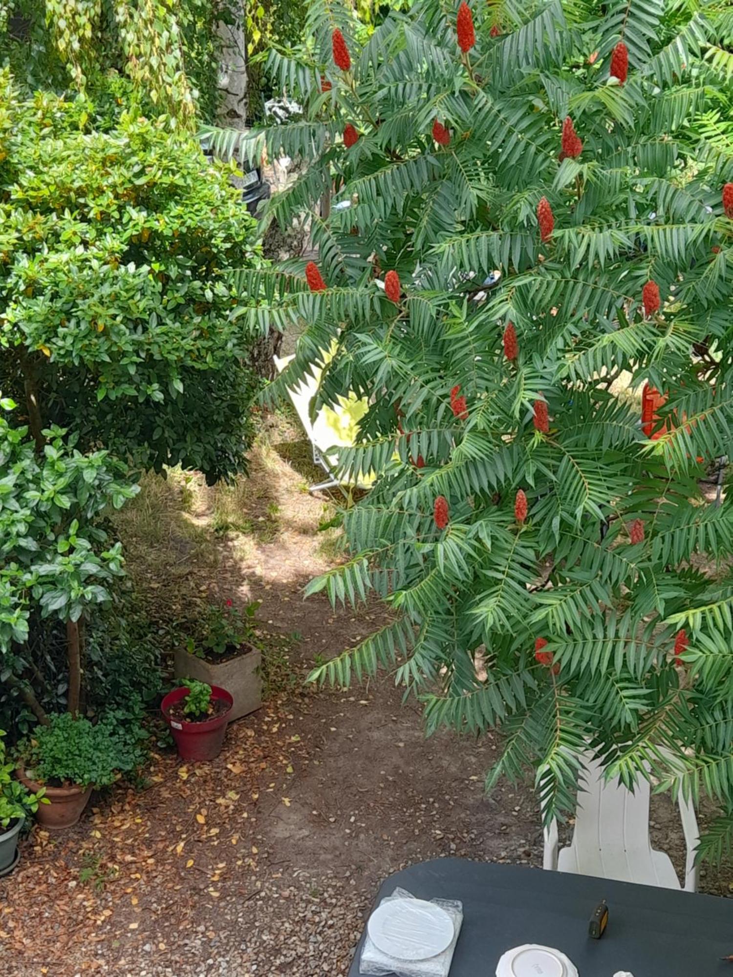 Maison Avec Jardin Pres De Beauval Ferienhaus *